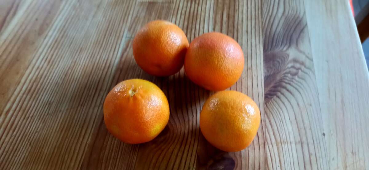 Tangerine dreams