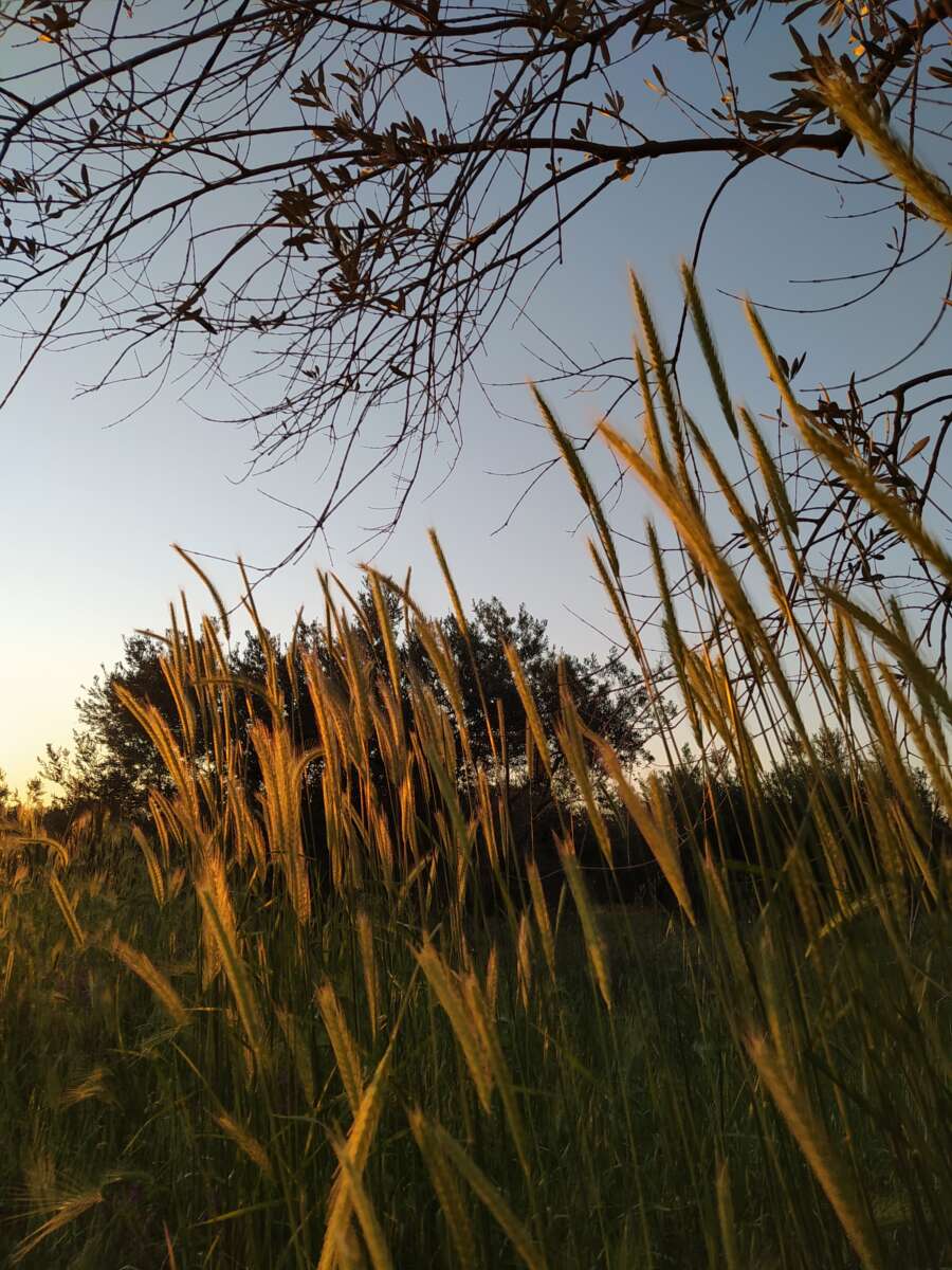 Σημείωμα από την Ιουλία
